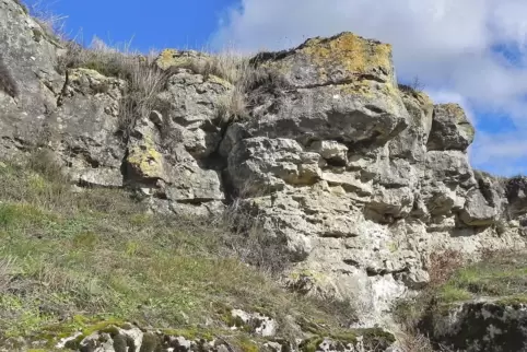 Die Kalkriffe des Gebiets Felsenberg-Berntal entstanden vor 25 Millionen Jahren. 