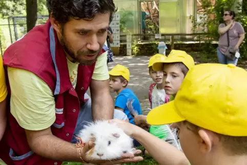  Tierpfleger Danny Stock zeigt den Kindern, die am Ferienprogramm teilnehmen, ein Meerschweinchen, das sie streicheln dürfen. 