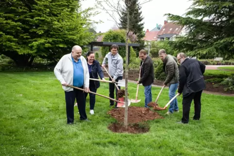 50 Jahre Eingemeindungen: Zum Jubiläum pflanzten Ortsvorsteher und OB Marold Wosnitza neulich einen Baum im Rosengarten.