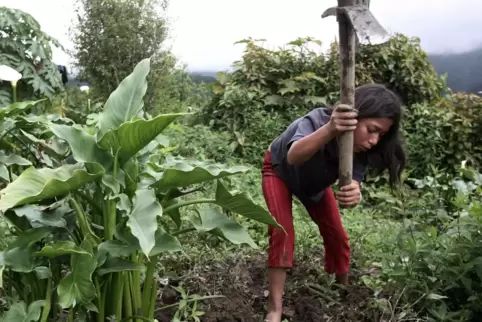 Knapp 30 Prozent der Bolivianer arbeiten in der Landwirtschaft. Die Lebensverhältnisse sind einfacher. 