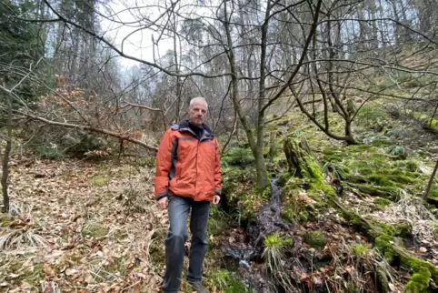 Holger Schindler ist als Gewässerbiologe im ganzen Pfälzerwald unterwegs. Er beobachtet, dass seit Jahren immer mehr kleine Quel
