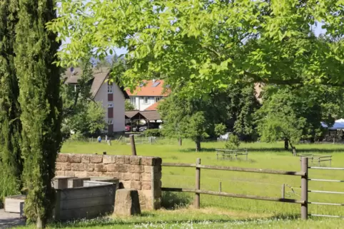 Der Bremerhof, malerisch im Wald gelegen, ist ein klassisches Beispiel für den Tourismus in der Region. 