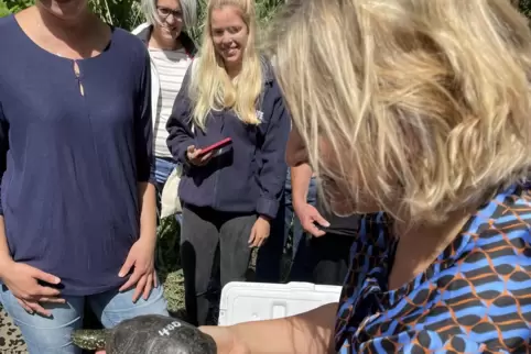 Umweltministerin Katrin Eder entlässt die 400. Sumpfschildkröte in die Freiheit. 