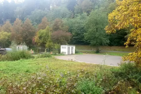 Den Blick auf den sich aktuell bunt färbenden Pfälzerwald sollen in absehbarer Zeit Wohnmobilfahrer in Thaleischweiler-Fröschen 