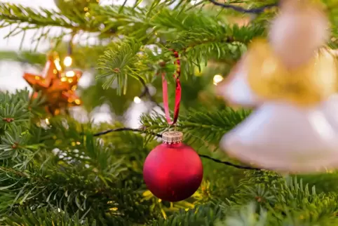 In anderen Gemeinden des Gräfensteiner Landes wird das Thema Weihnachtsbaum unterschiedlich gehandhabt. 
