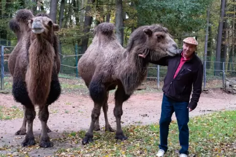 Zoo-Direktor Matthias Schmitt bei den Trampeltieren, die bald mehr Platz bekommen. 