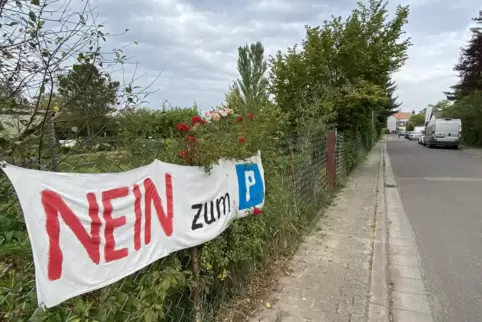 Die Grünen haben sich klar gegen den geplanten Parkplatz „An der Quelle“ in Freinsheim positioniert.