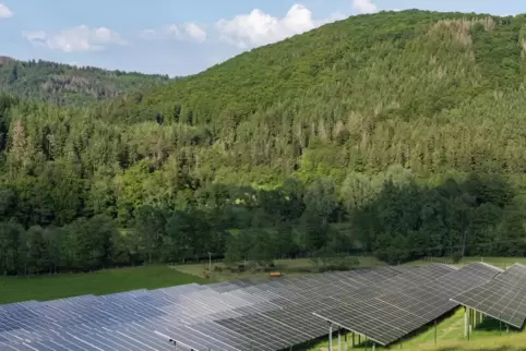Ähnlich wie hier soll auch in Völkersweiler am Rande des Pfälzerwalds ein Solarpark gebaut werden. 