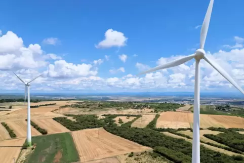 Der Grünstadter Berg soll als Vorrangfläche für die Errichtung von Windkraftanlagen ausgewiesen werden, fordert der Klimastammti