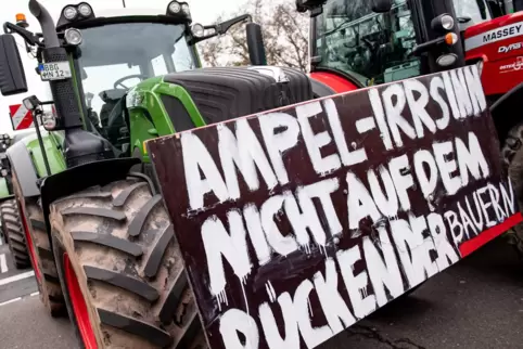Bei einer großen Demonstration in Berlin machten auch Südpfälzer Bauern ihrem Ärger Luft. 
