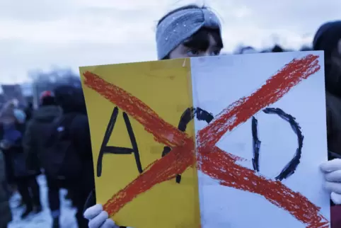 Bedürfnis nach Protest: Eine Teilnehmerin eine Demonstration in Berlin hält ein Schild mit eindeutiger Botschaft hoch. 
