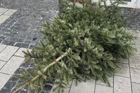 Der Abholtermin für Weihnachtsbäume in Dansenberg und Mölschbach verzögert sich.