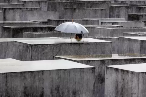  Seit 2005 erinnert mitten in Berlin das Denkmal für die ermordeten Juden Europas an den Holocaust.