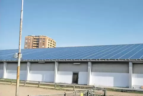 Das erste Projekt: Die Fotovoltaikanlage auf dem Dach der Reithalle in Neuhofen hat die Neue Energie Neuhofen aus der Insolvenzm