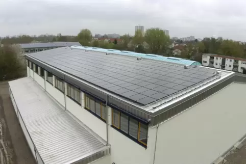 Auf dem Dach des Edigheimer Schulzentrum ist schon lange eine Photovoltaikanlage installiert. Bis Sommer 2026 sollen 22 weitere 