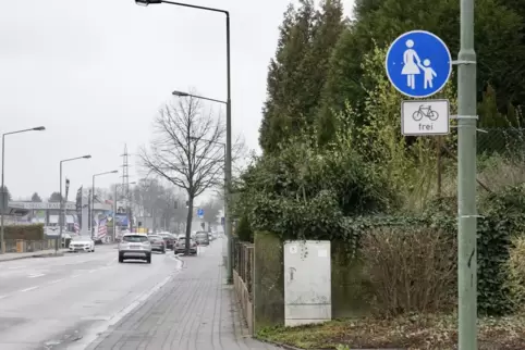 Entlang der Kaiserstraße auf dem Einsiedlerhof wird der Radverkehr über den Gehweg geführt. Um mehr Platz zu schaffen, müssen vi