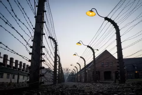 Wer die Gräueltaten der Nazis in den Vernichtungslagern wie etwa in Auschwitz verharmlost, kann zu einer Freiheitsstrafe von bis