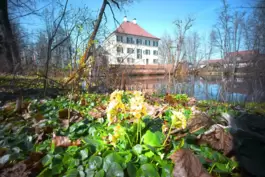 Der Schlosspark beim Wasserschloss in Unterwittelsbach ist der reinste Märchengarten. 