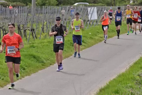 Bei Kilometer 25 (hier die Weinberge bei Bad Dürkheim-Pfeffingen) hatte sich das Feld der Läuferinnen und Läufer beim Marathon s