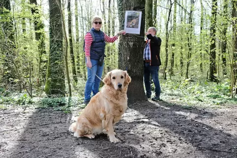 Gabriele Beckmann aus Mittelbach sammelt beim Spaziergang mit Hund Lissy fast täglich Müll im Wald ein. Mit Plakaten will sie nu