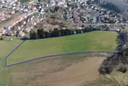 Auf der blau umrandeten Fläche soll in Siegelbach eine Freiflächen-Anlage errichtet werden. 