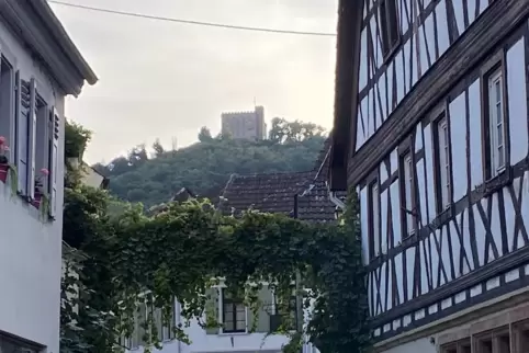 Am Hambacher Schloss finden regelmäßig Demos statt. Dagegen wehren sich nun Bürger des Weindorfs. 