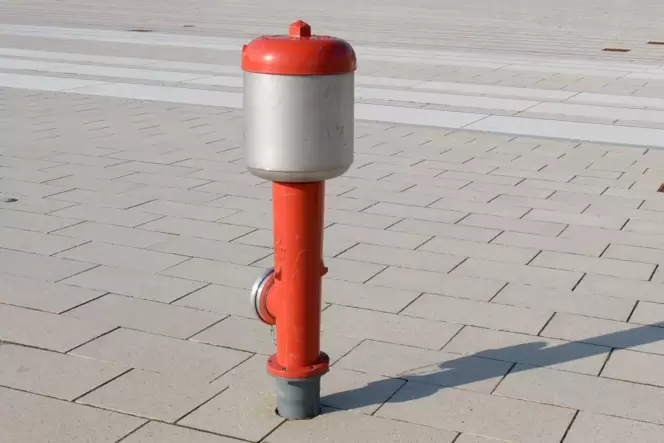 Hydranten wie dieser werden bis zum 10. Mai in Teilen Frankenthals auf ihre Funktionsfähigkeit gecheckt.