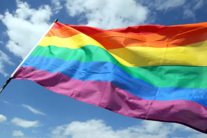 Eine Regenbogenflagge wird vor dem Pirmasenser Rathaus nicht wehen.