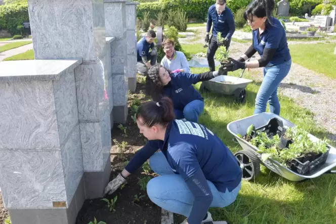 Sabine Ferckel, Sena Gedik, Rosina Schwaab, Dennis Herzog, Johann Rollhäuser und Sabine Heil verschönern den Friedhof in Maikam