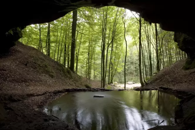 Blick aus dem Schlund: Die Bärenhöhle im Langenbachtal ist die größte natürliche Felsengrotte der Pfalz.