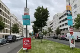 Wahlkampfzone: die Rheinallee im Stadtteil Süd.