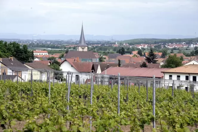 Laumersheim ist geprägt vom Weinbau, dasWachstumspotential eingeschränkt.