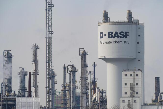 Die IHK Pfalz vertritt rund 80.000 Unternehmen in der Pfalz – vom weltgrößten Chemiekonzern BASF bis zur kleinen Imbissbude.
