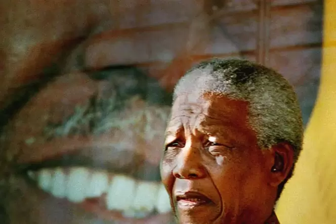 Bereits Südafrikas ehemaliger Präsident Nelson Mandela hatte die Reform in den 90er Jahren versprochen.