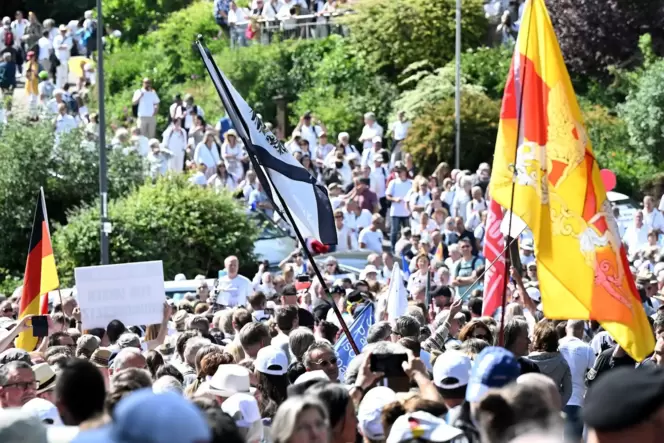 Schon in den vergangenen Jahren kamen Gruppen zum Demonstrieren nach Neustadt. Diesmal wird mit 3000 bis 5000 Personen gerechnet
