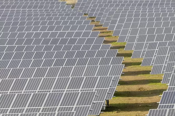 So sehen die meisten Freiflächen-Photovoltaikanlagen aus. Bei Agri-Solaranlagen werden die Module jedoch entweder senkrecht oder