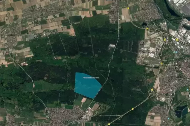 Im Wald zwischen Bellheim, Lustadt und Westheim soll ein Geothermiekraftwerk gebaut werden. Das blaue Feld zeigt den Suchraum fü