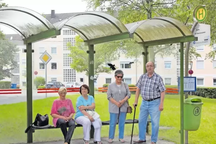 Sie hatten gegen die Streichung der Stadtbusse protestiert und freuen sich jetzt über ihren Erfolg: (v.l. ) Gudrun Petran, Elisa