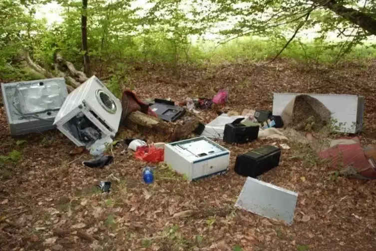 Eine Waschmaschine und andere Elektrogeräte haben Umweltsünder im Wald bei Schönau entsorgt. Foto: Polizei/frei 