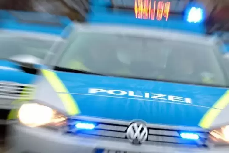 Die Polizei sucht Zeugenhinweise zu der Serie von Diebstählen aus Autos, die am Montag in Frankenthal begonnen hat. Foto: dpa