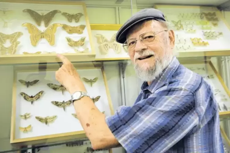 Sind Teil der Sammlung, die nun in der Realschule plus beherbergt ist: die Schmetterlinge, die Erich Bettag teilweise selbst gef
