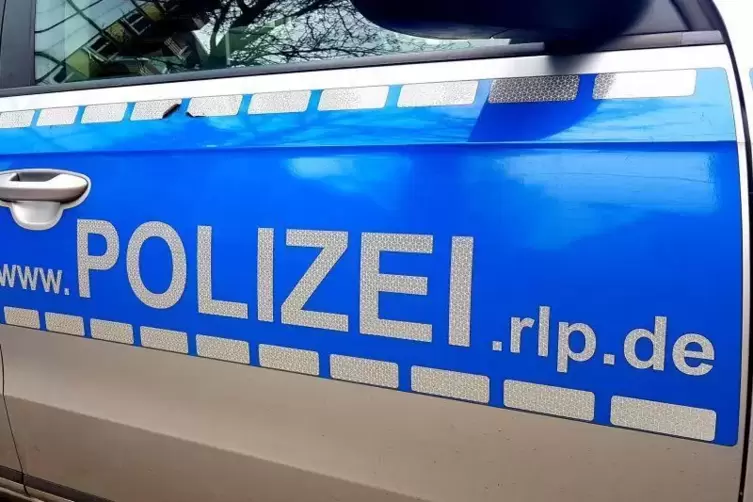 Trotz Blaulicht und Martinshorn kein Durchkommen für die Neustadter Polizei.  Foto: Hartschuh
