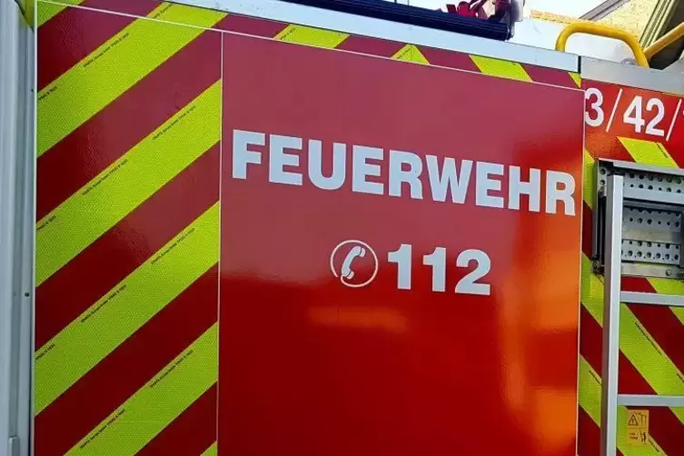 Ein angeblicher Waldbrand zwischen Wachenheim und Bad Dürkheim war ohne Grund gemeldet worden. Foto: Hartschuh 