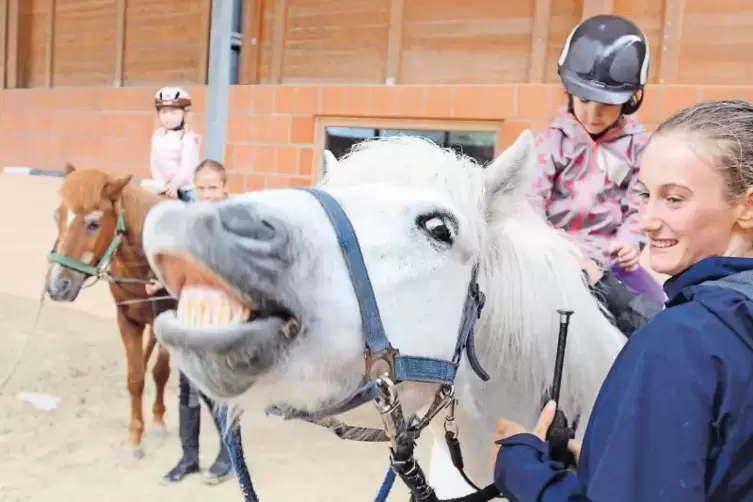 Da lacht sogar das Pferd – und auch die kleinen Reiter hatten gestern sichtlich Spaß.