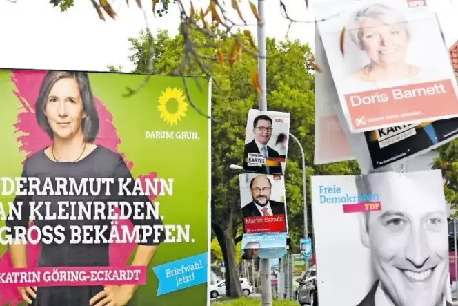 Der Wahlkampf läuft auf Hochtouren: Die Parteien werben mit vielen Plakaten – wie auf dem Bild in Frankenthal – um die Gunst der