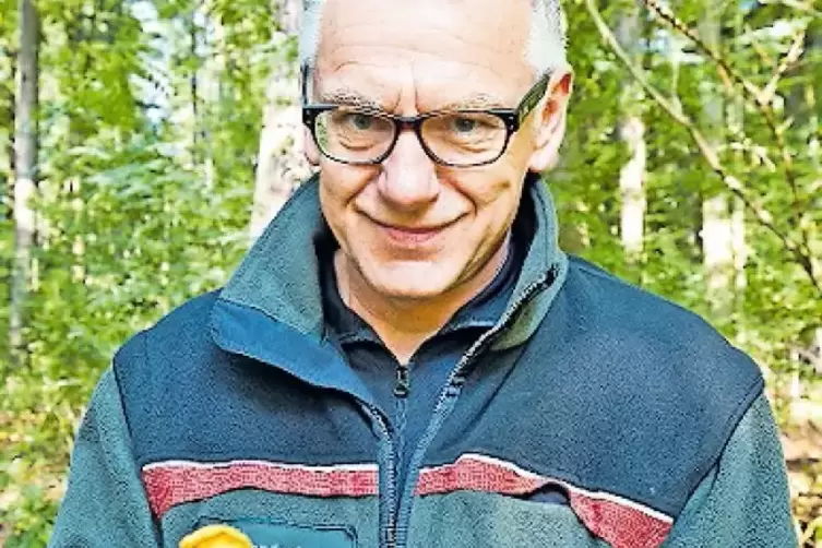 Förster Klaus Platz hat im Wald Pfifferlinge gefunden.