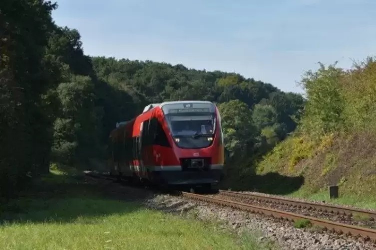 Von was die Regionalbahn zwischen Steinwenden und Mohrbach getroffen wurde, ist noch unklar. Foto: Merkel 