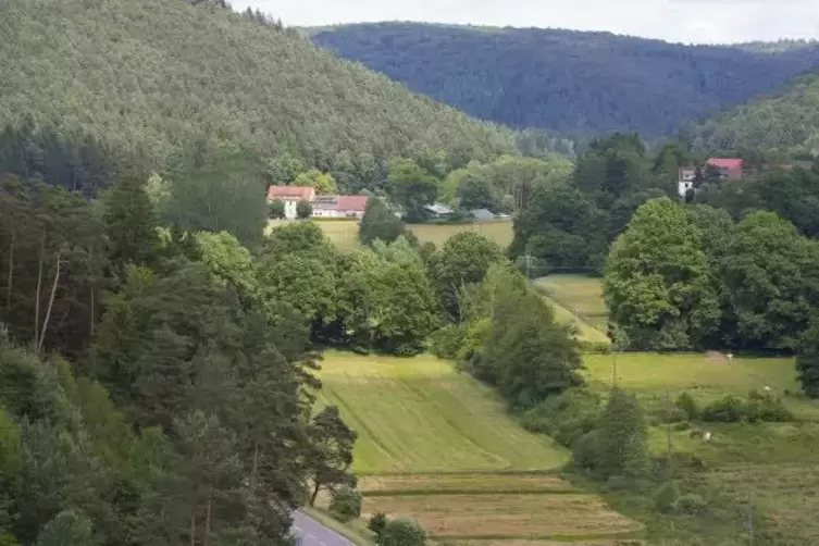 Einen Großteil der Gesamtfläche von Rheinland-Pfalz nimmt die Vegetation ein. Unser Bild zeigt das Aschbachtal bei Kaiserslauter
