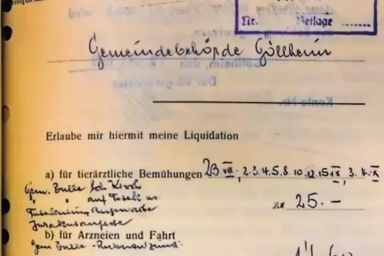 Fund im Göllheimer Gemeindearchiv: Eine Rechnung von 1949 über eine Behandlung des Gemeindebullen, ausgestellt von Tierarzt Otto
