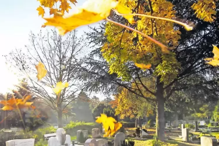 Die Stille genießen Besucher des Schifferstadter Waldfriedhofs gern. Aber ein Friedhof kann auch ein lebendiger Ort der Begegnun